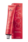 Schwarzkopf Igora Hair Color Dark Blonde Cendre 6.1