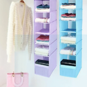 closet organizer storage shelf
