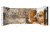 Quest Double Chocolate Chunk Protein Bar
