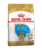 Royal Canin Junior Labrador Retriever Dog Food