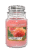 Yankee Candle Sun-Drenched Apricot Rose 623g